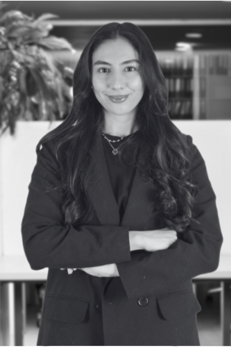 Stj. Av. Yasemin KİNO